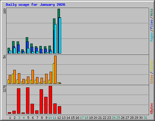 Daily usage for January 2026