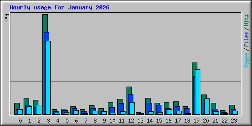 Hourly usage for January 2026